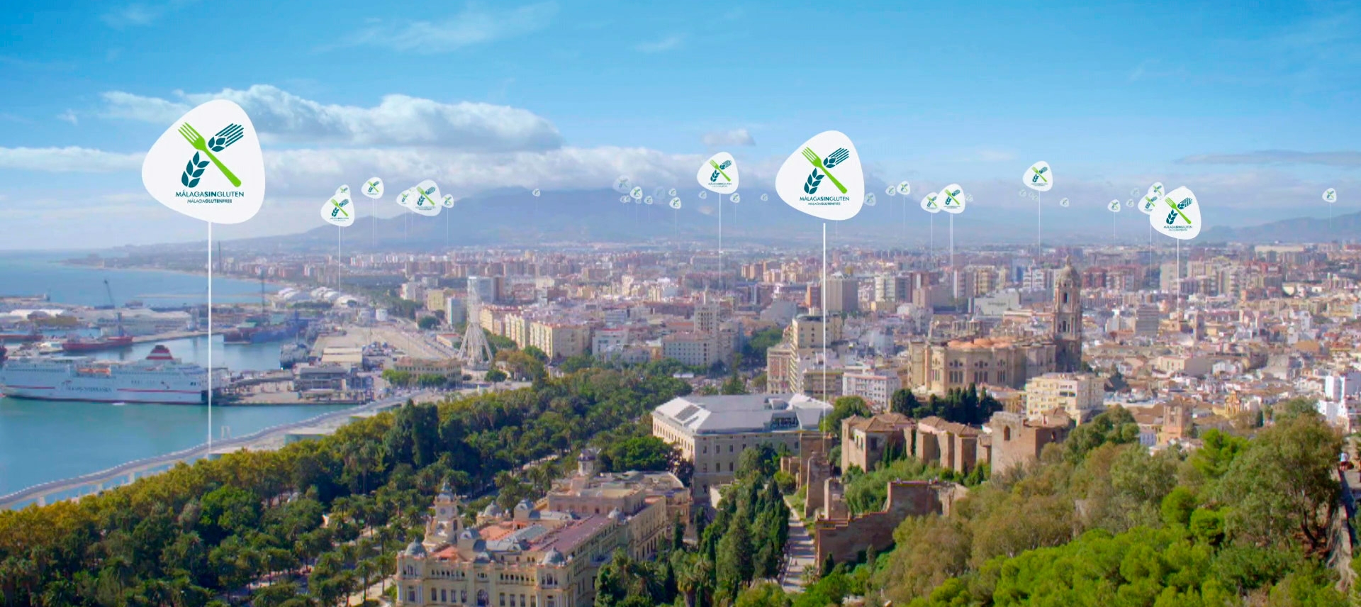 06-MalagaSinGluten